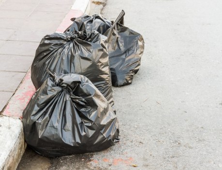 Eco-friendly garden clearance process in Twickenham